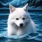 苏雨桐，sedog 用户研究编辑，专注新手体验优化与用户画像分析